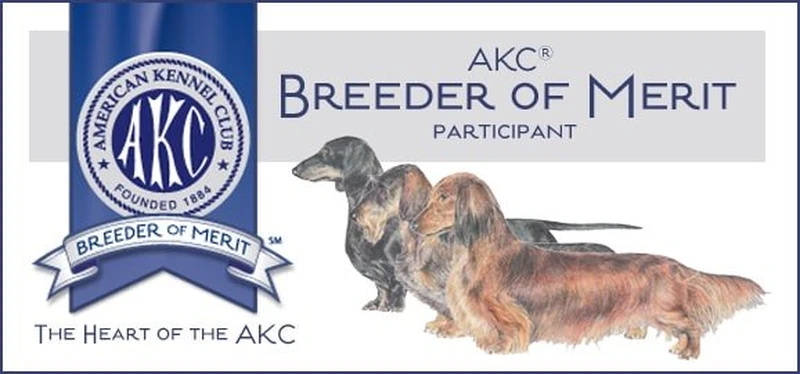 AKC Breeder of Merit Participant seal — The Heart of the AKC — shown with two long-haired Dachshunds