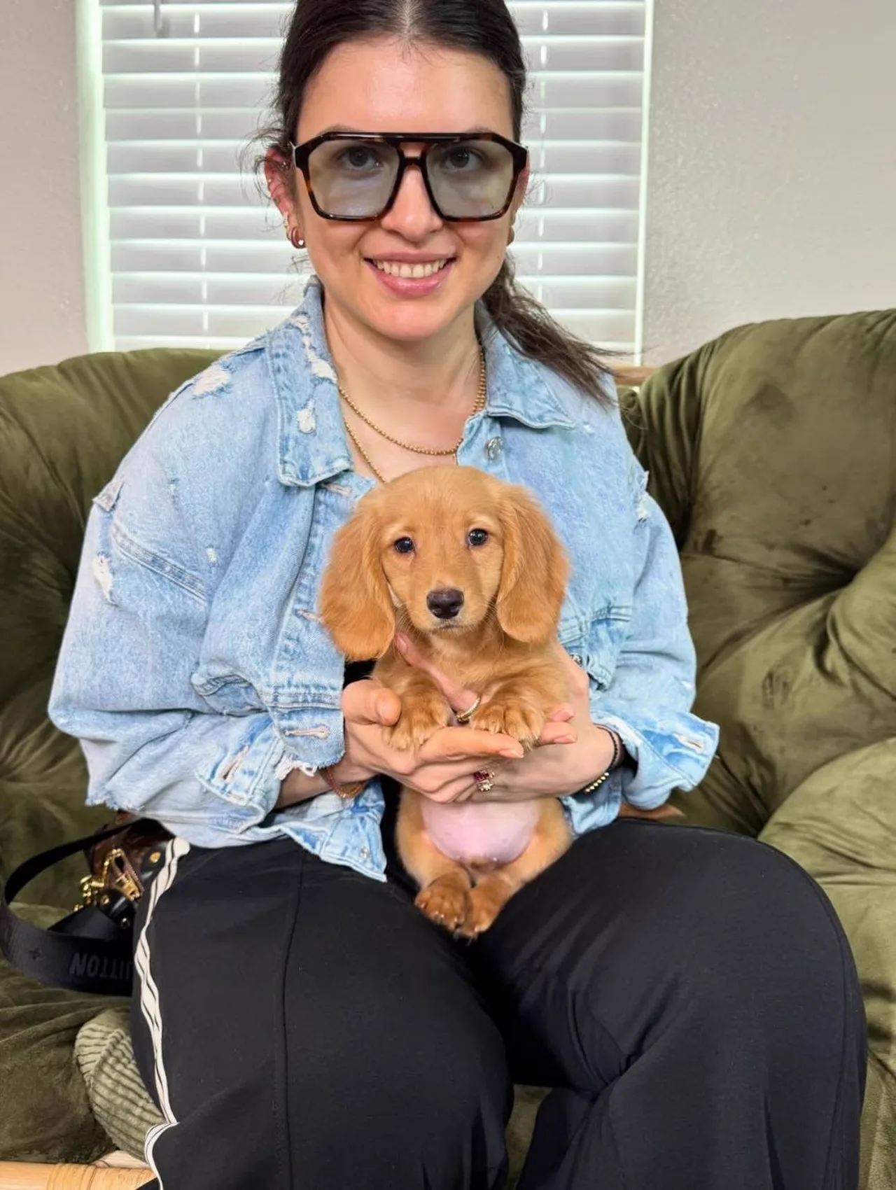 Woman sitting on a green couch holding a cream long-haired Miniature Dachshund puppy on her lap