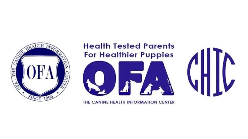 OFA and CHIC logos with the text: Health Tested Parents For Healthier Puppies — The Canine Health Information Center